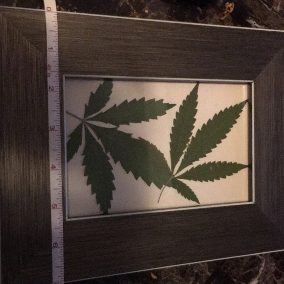 Pressed hemp picture - Picture 4 of 4